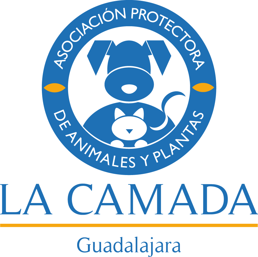 logo_camada