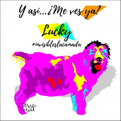 Lucky a todo color!