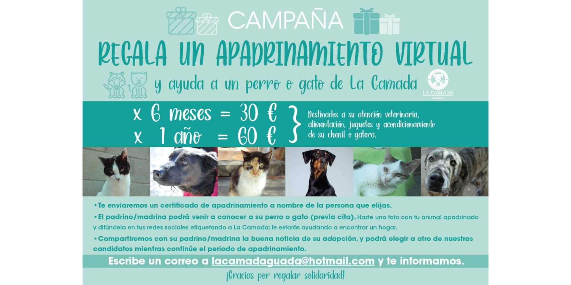 La Camada, Asociación Protectora de Animales y Plantas de Guadalajara - La  Camada